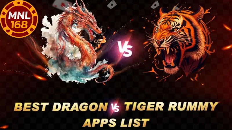 Overview of Dragon Tiger