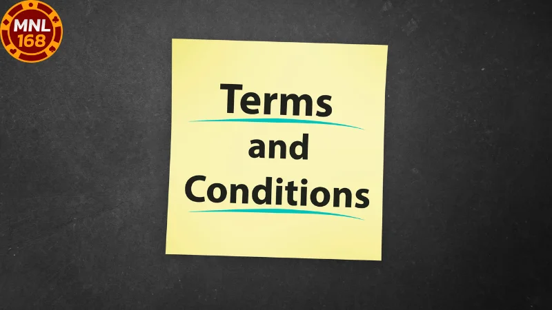 Terms and Conditions MNL168 Important Content to Know