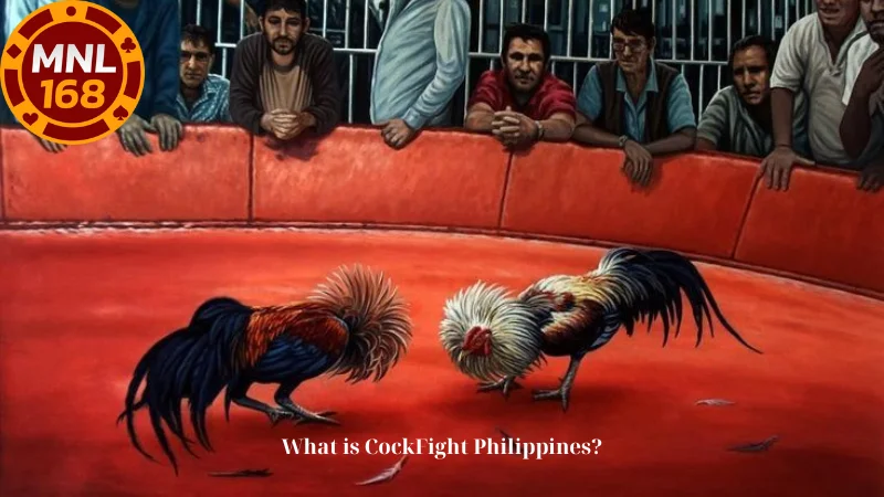 What is CockFight Philippines?